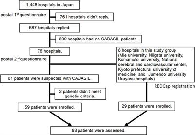 A Nationwide Survey and Multicenter Registry-Based Database of Cerebral Autosomal Dominant Arteriopathy With Subcortical Infarcts and Leukoencephalopathy in Japan